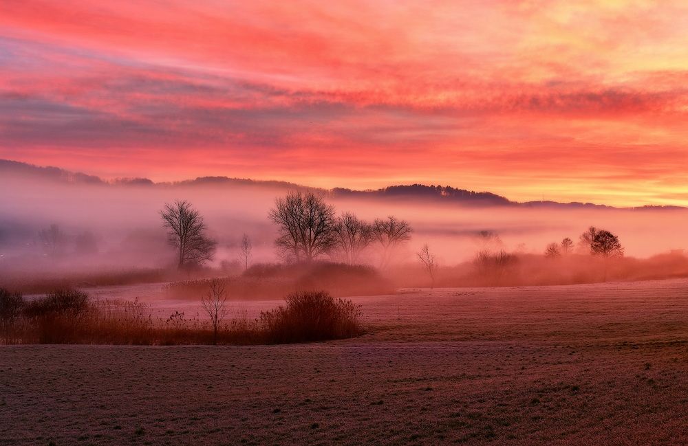 Photograph by Elena Wymann