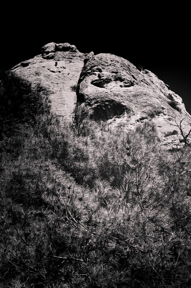 Photograph by Алексей Ильин