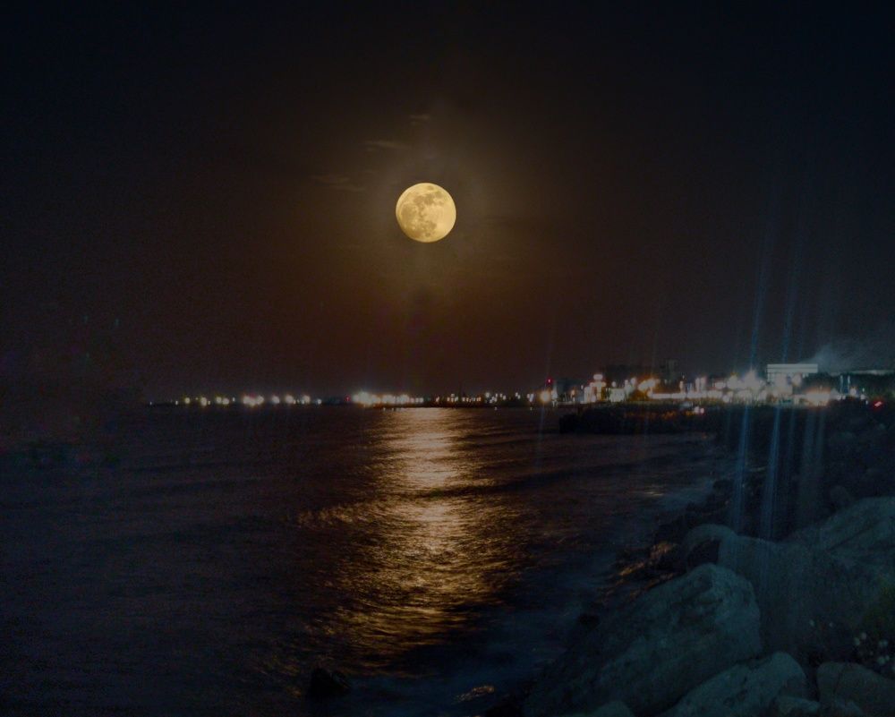 Photograph by Ронжин Дмитрий