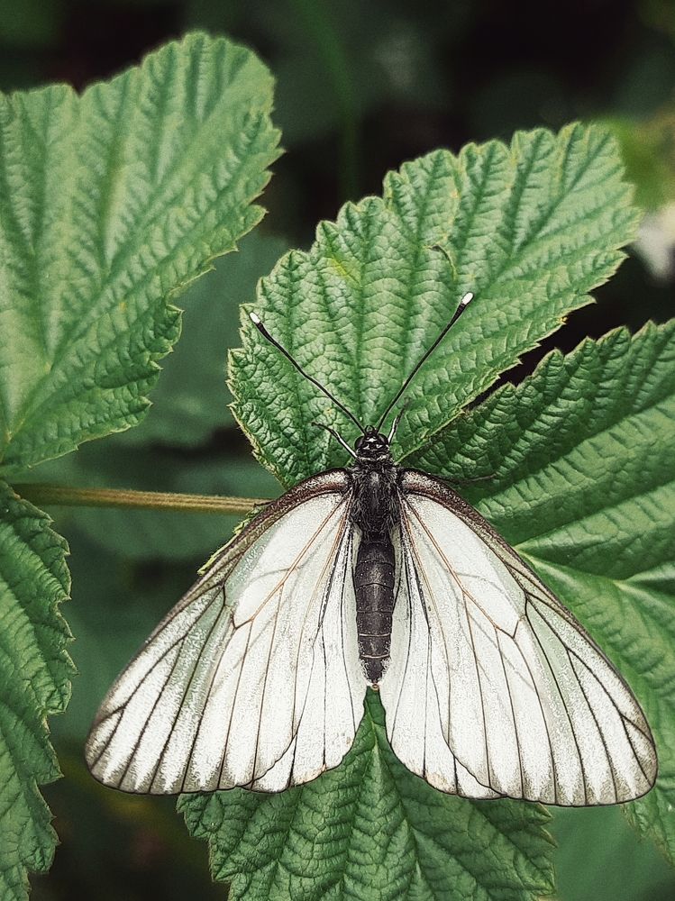 Photograph by Ксения Олина