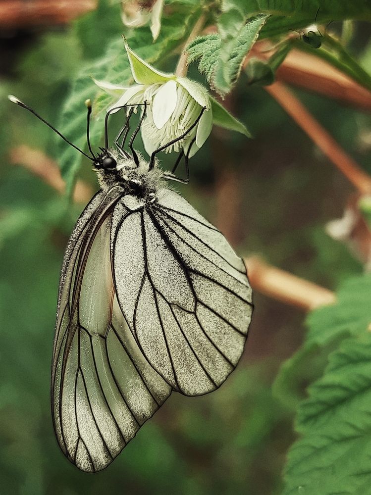 Photograph by Ксения Олина