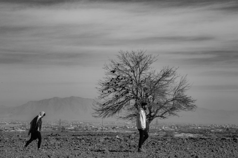 Photograph by seyed mostafa yousefi