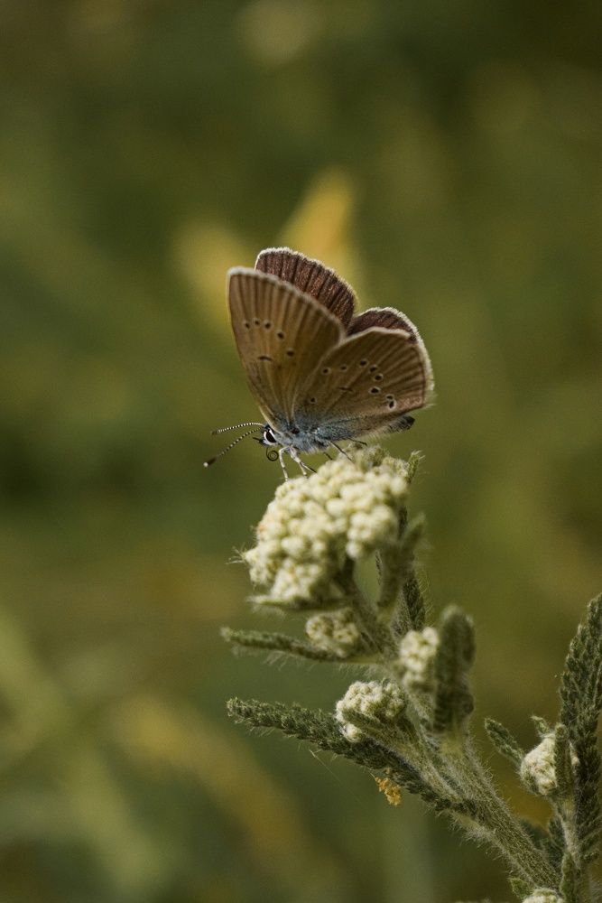 Photograph by Анна Федотова