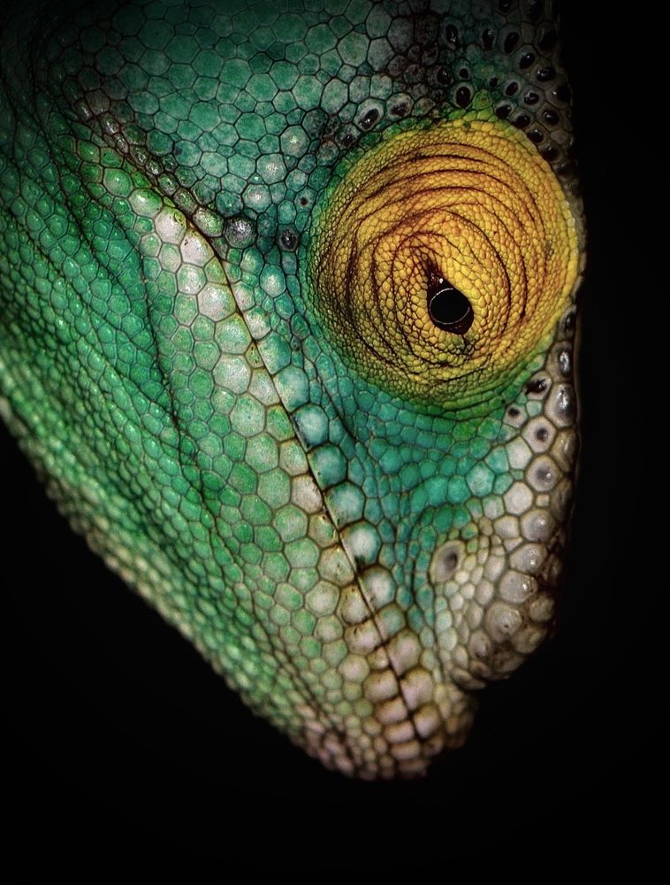 Photograph by Малика Маткарим