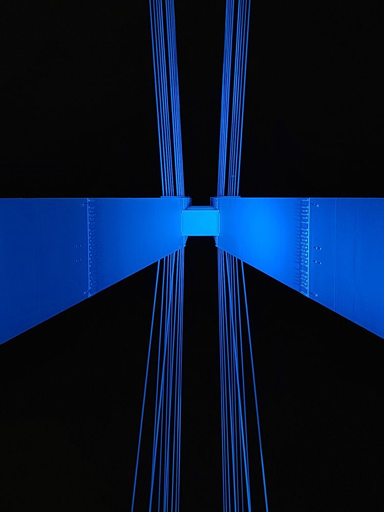 Photograph by Galina Belinskya