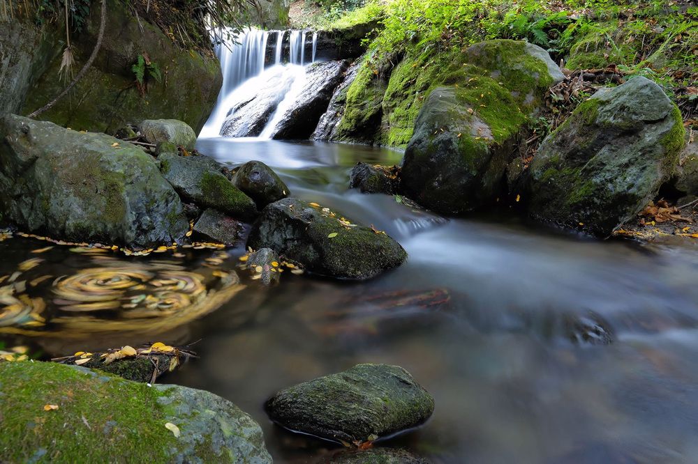 Фотография автора Catherine