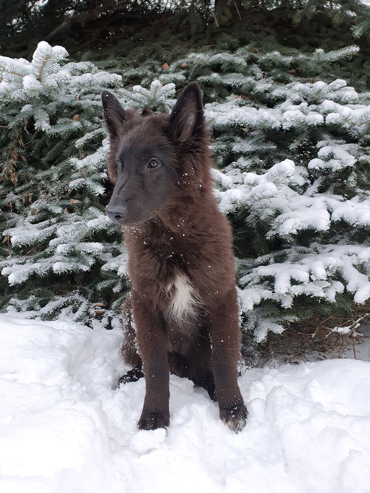 Фотография автора Надежда Лисицына