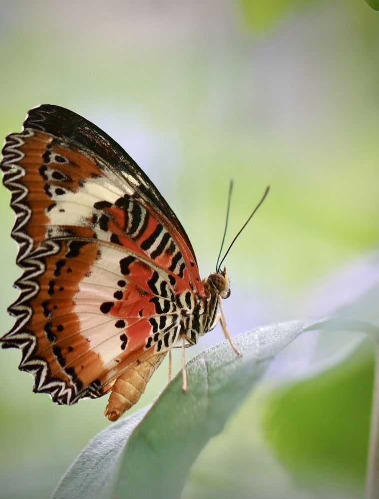 Photograph by Малика Маткарим