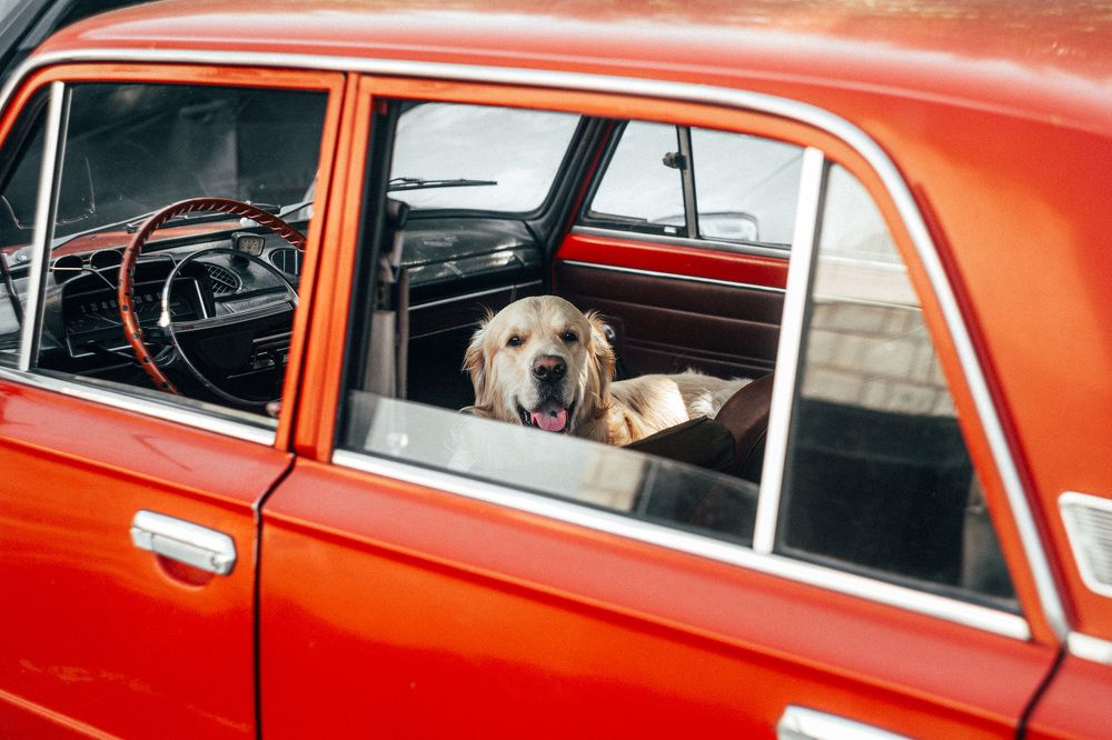 Photograph by Кирилл Трушин