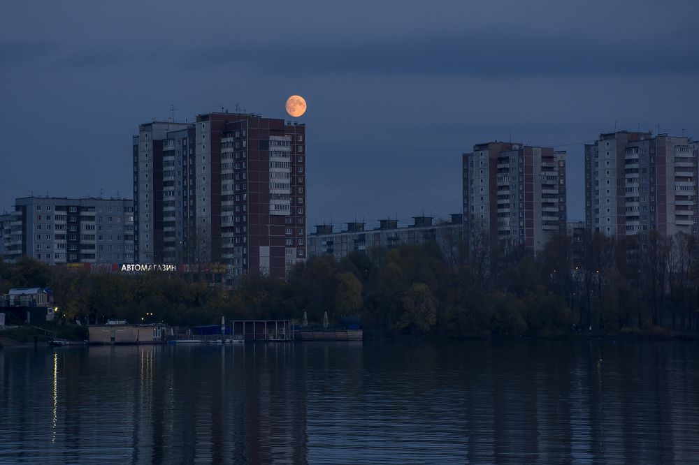 Photograph by Соколова Елена