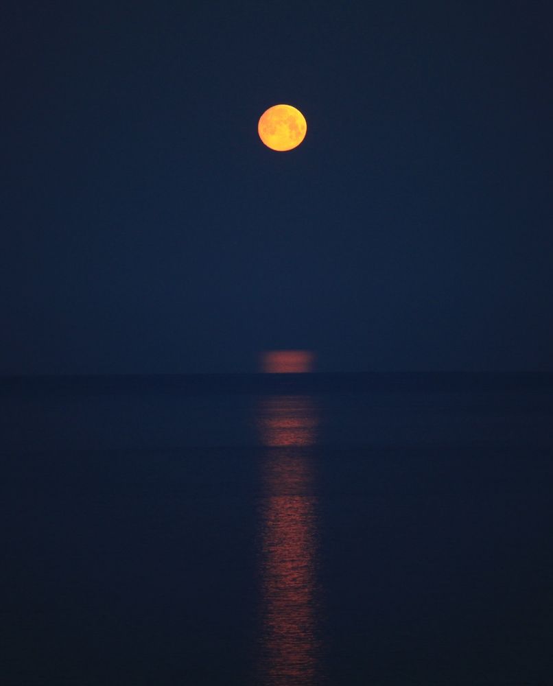 Photograph by ANDREY PERESHEIN