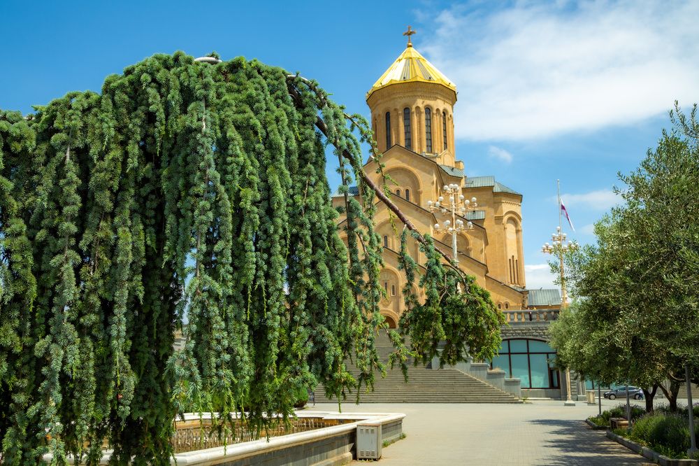 Photograph by Владимир Парсяк