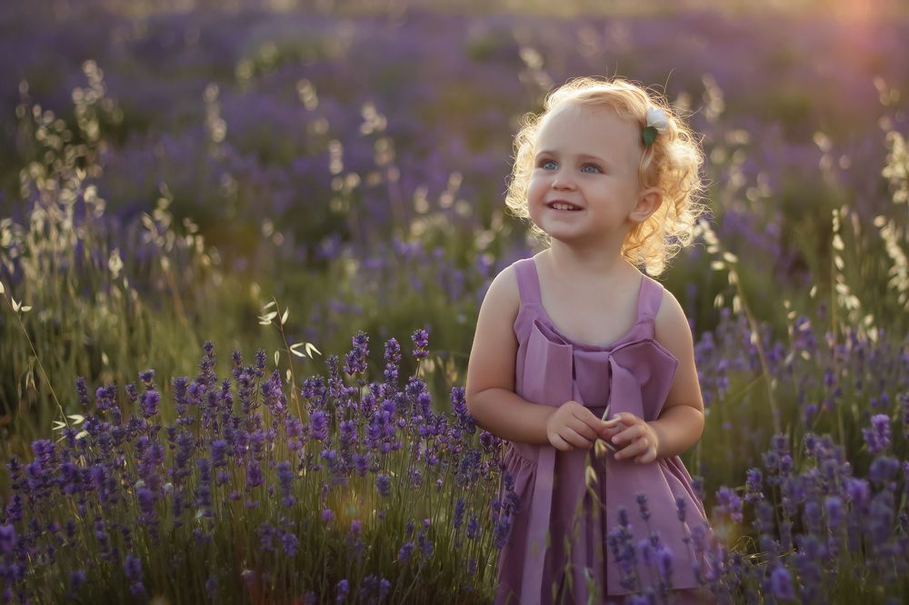 Лавандовые мечты