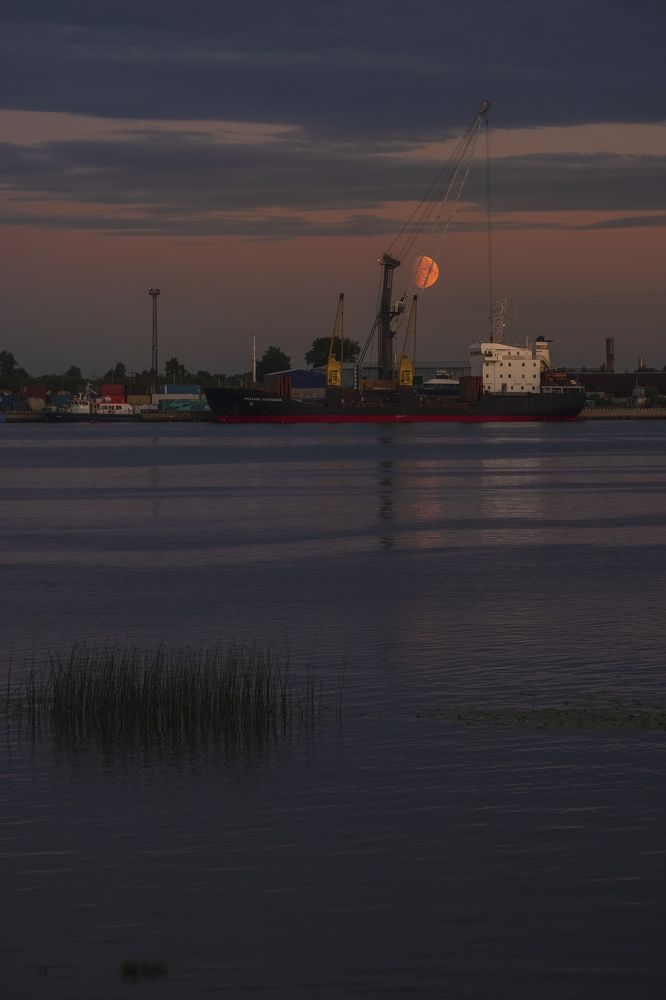 Photograph by Светлана Краюшкина