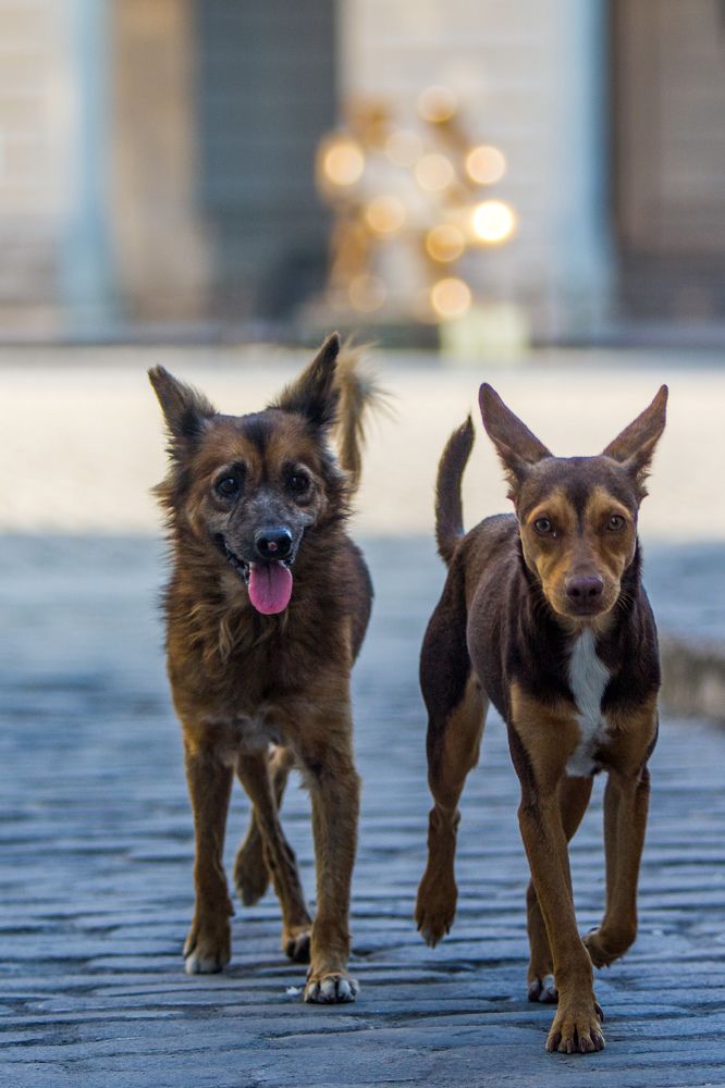 Photograph by Evelyn Carnot Montes