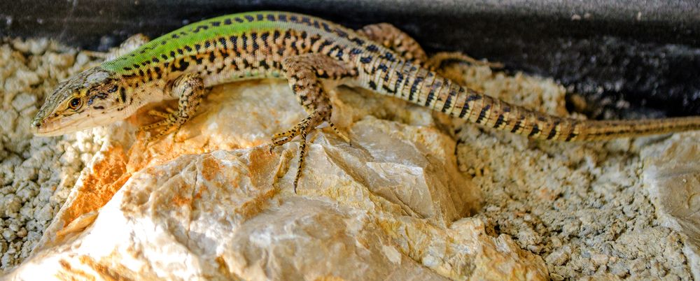 Photograph by Евгений Каримов