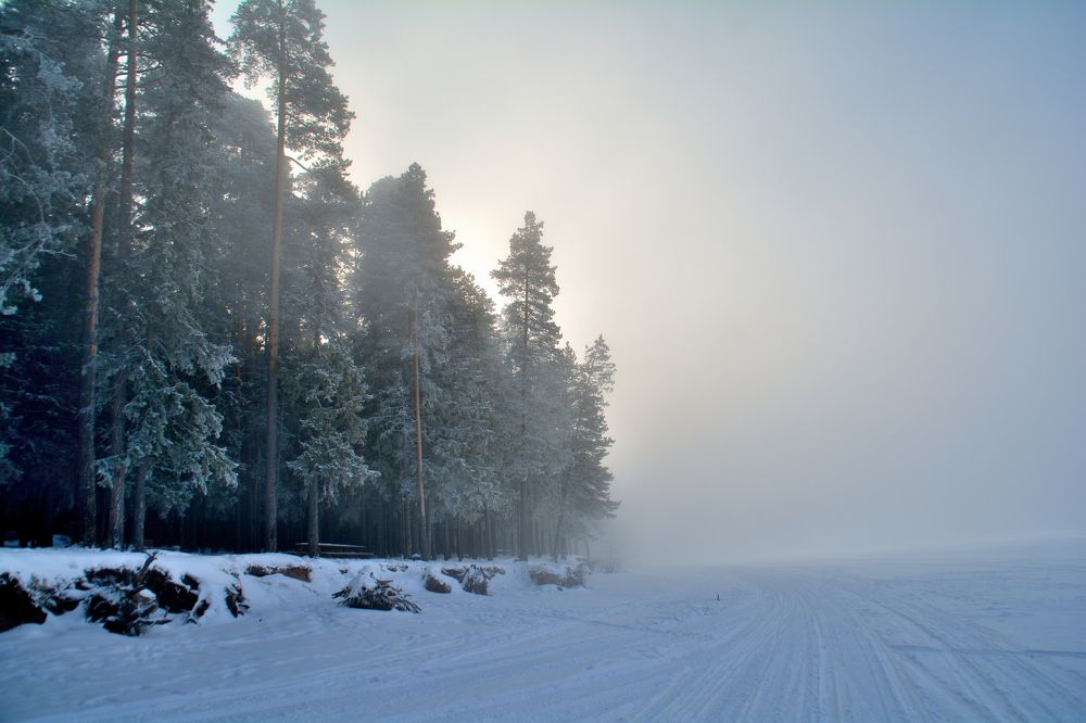 Photograph by Александр Зуев