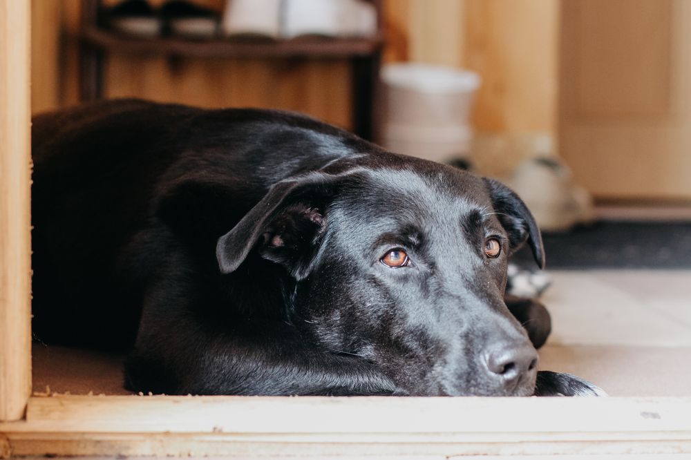 Photograph by Марина Бауэр