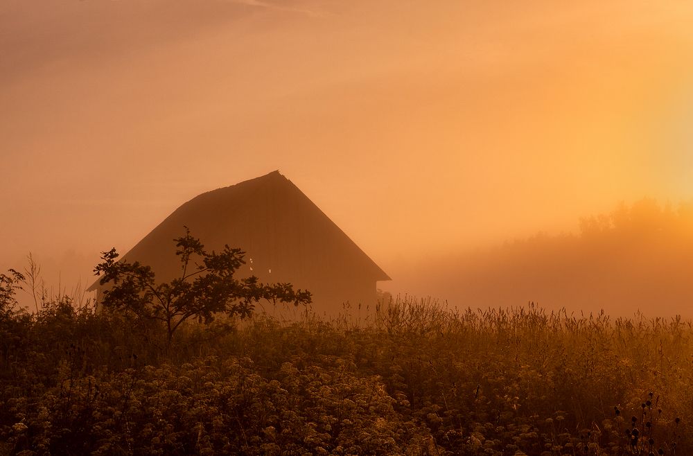 Photograph by Dace Spalvina