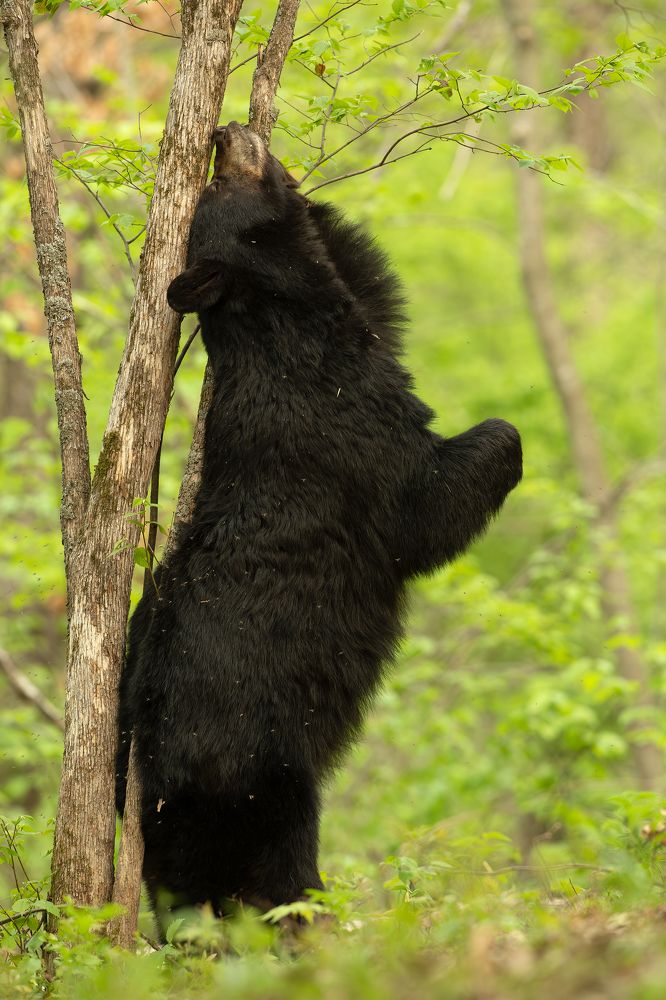 Linger In the Moment .