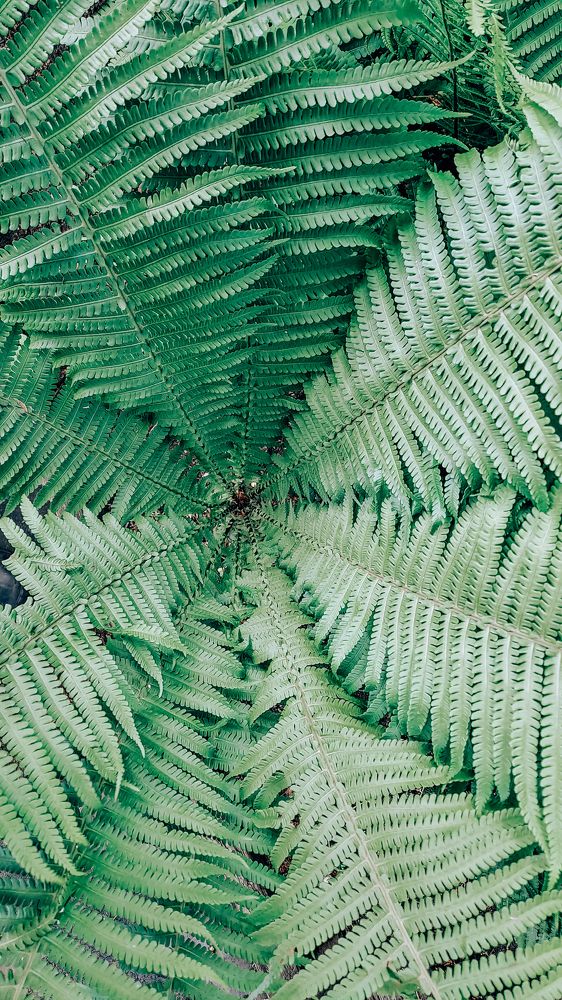 Photograph by Юлия Козельских