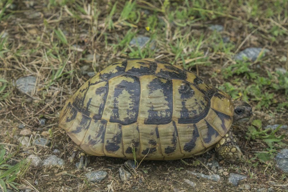 Photograph by iliya levkov