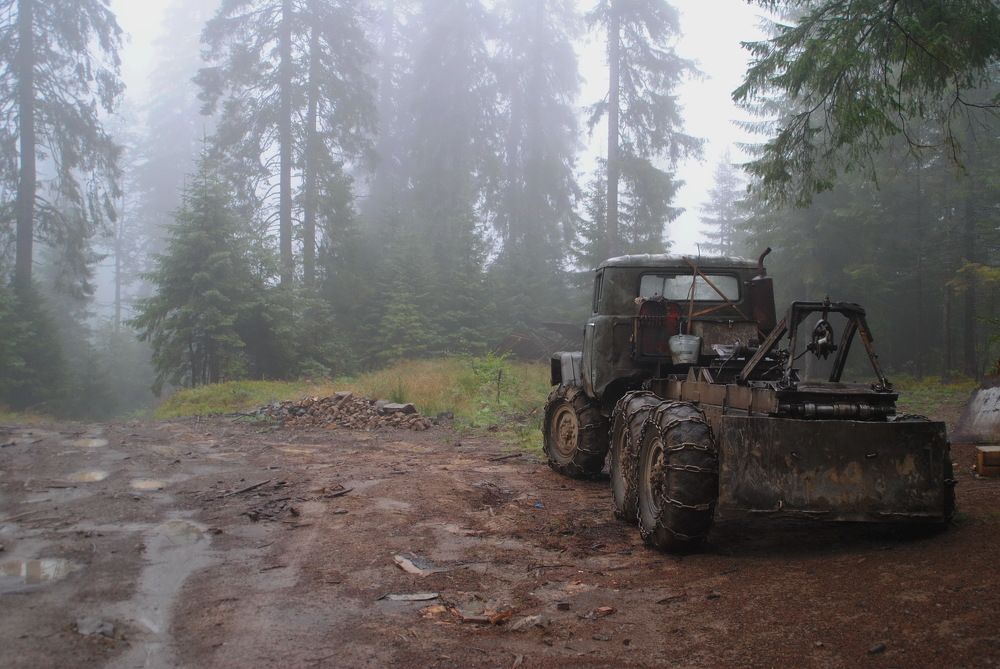 Photograph by Инна Сечко