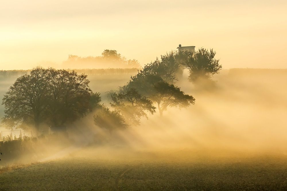 Photograph by Ivars Salmanis