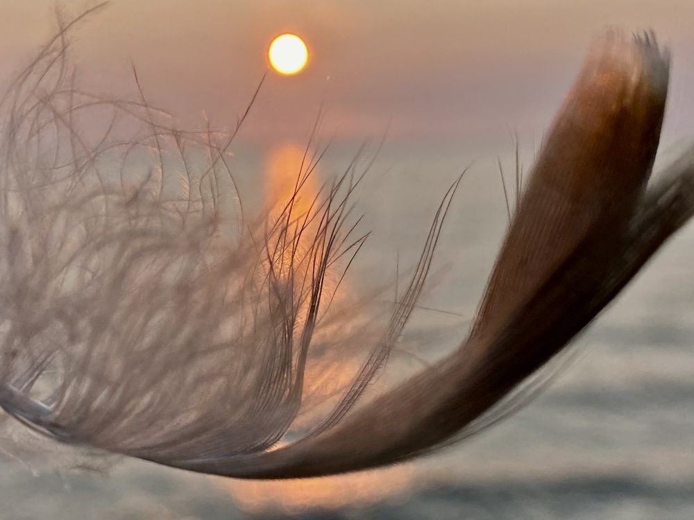 Photograph by Ирина Коваль