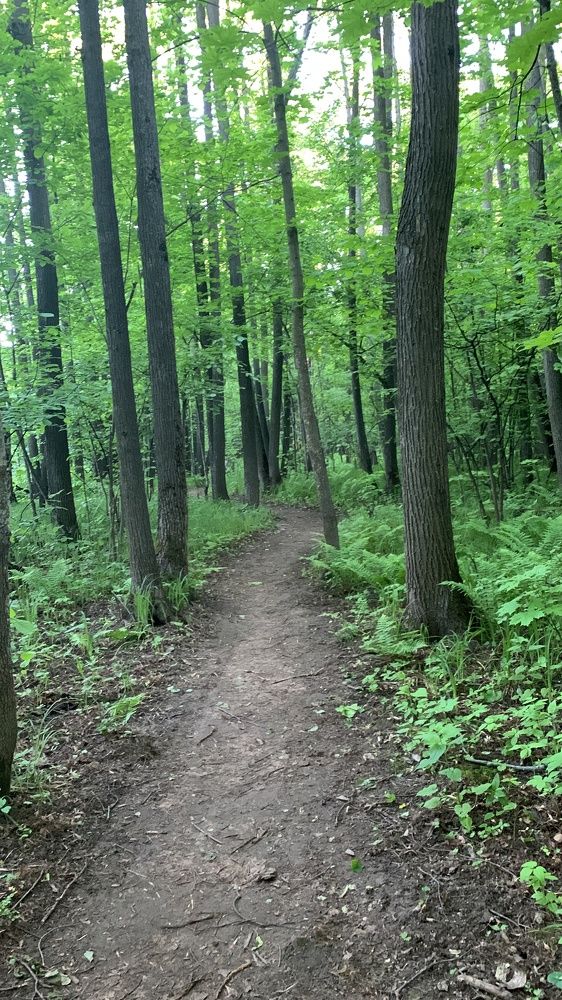 Photograph by гульназ замалеева