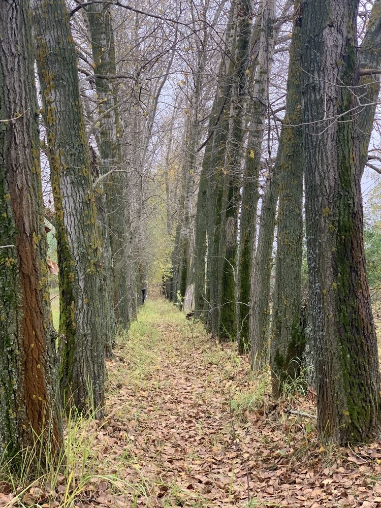 Photograph by гульназ замалеева