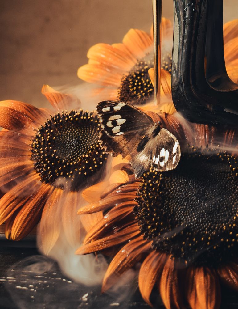 Photograph by Анна Федотова