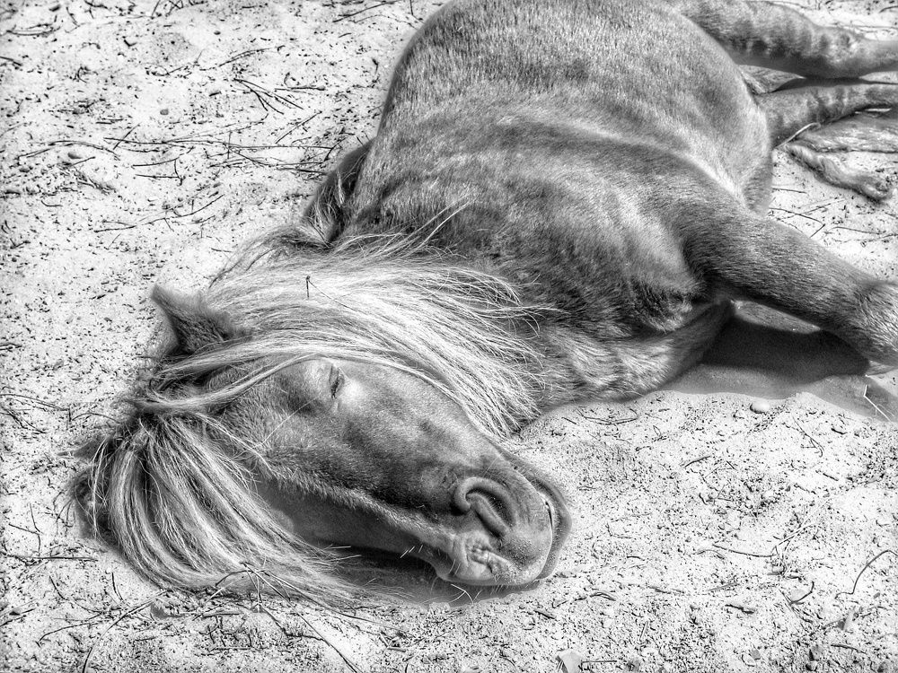 Photograph by Marco Silva