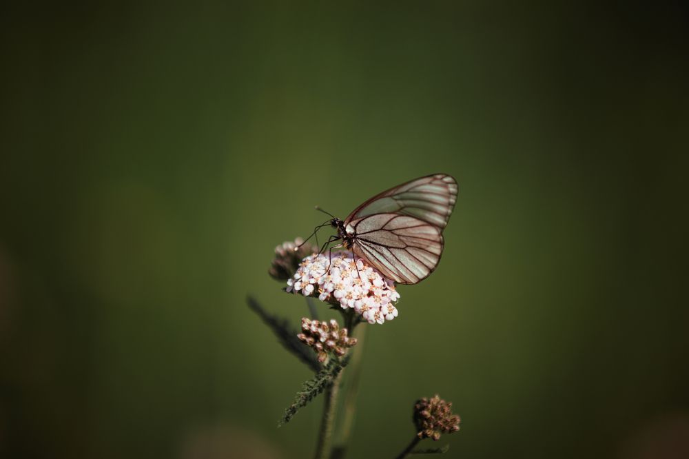 Photograph by Екатерина Овсянникова