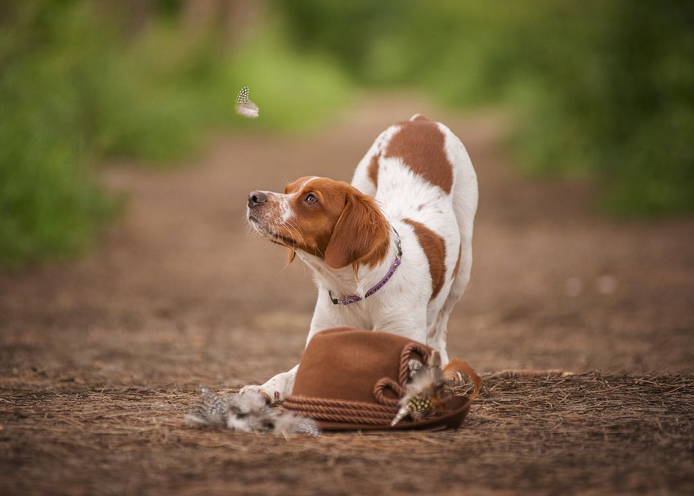 Photograph by Григорьева Юлия