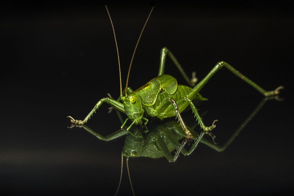 Photograph by Nikolay Nikolaev