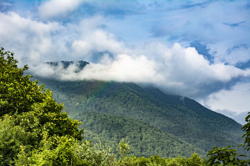 Photograph by Galina