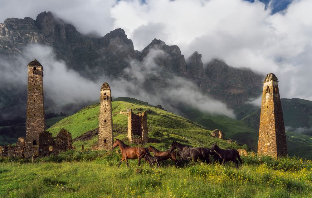 Photograph by Michael Kharitonychev