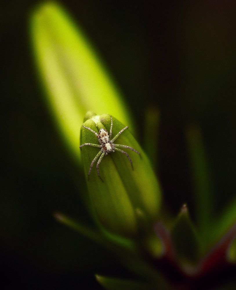 Photograph by Ткачёв Владимир
