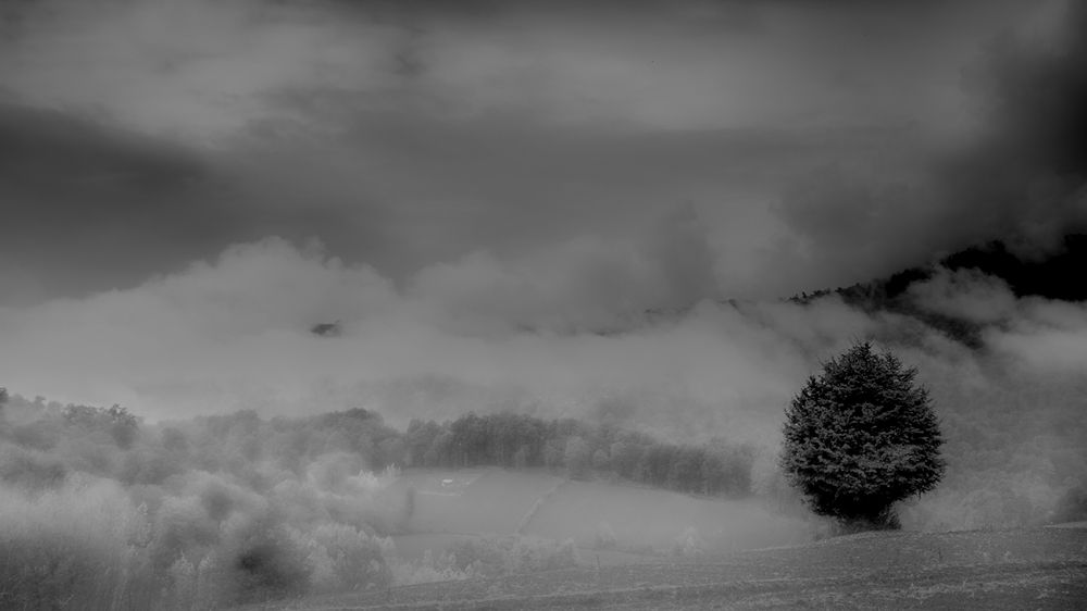 Photograph by seyed mostafa yousefi