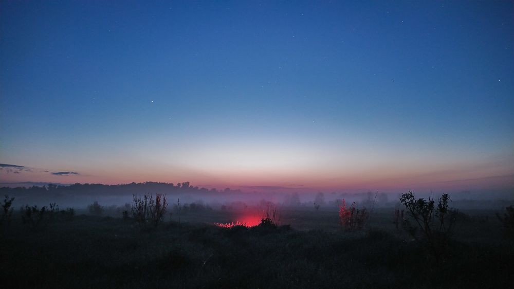 Photograph by Виталий Грачёв