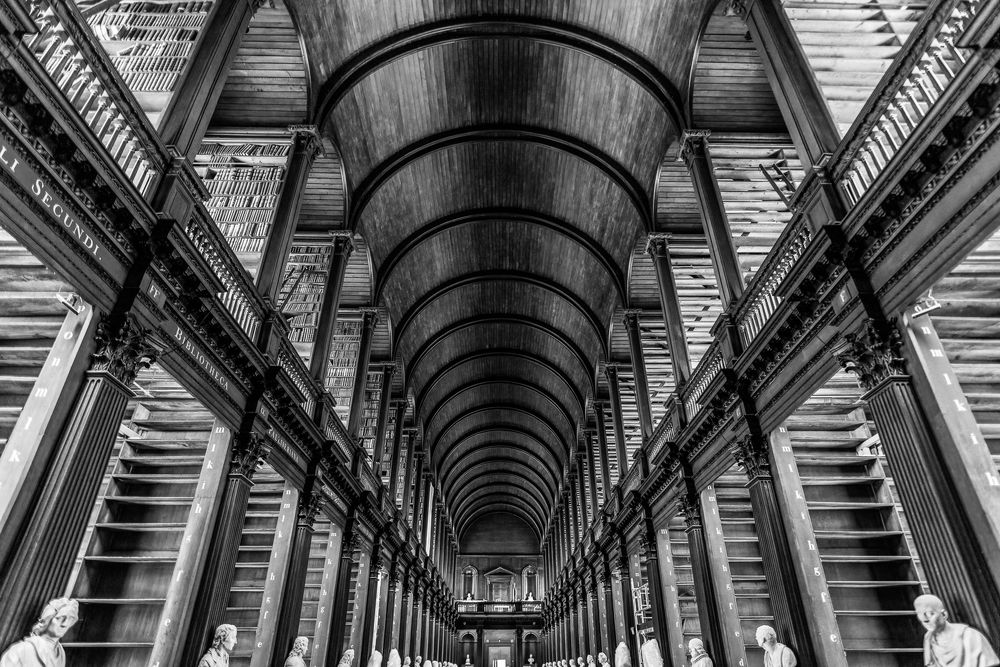 Photograph by Bruno Ribeiro