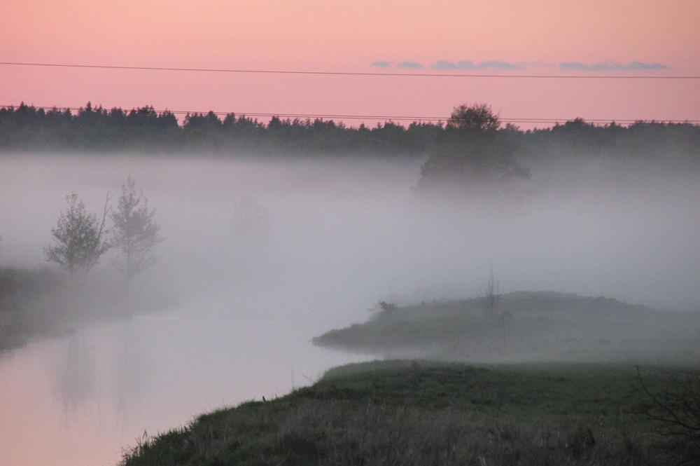 Photograph by Ирина Гаража