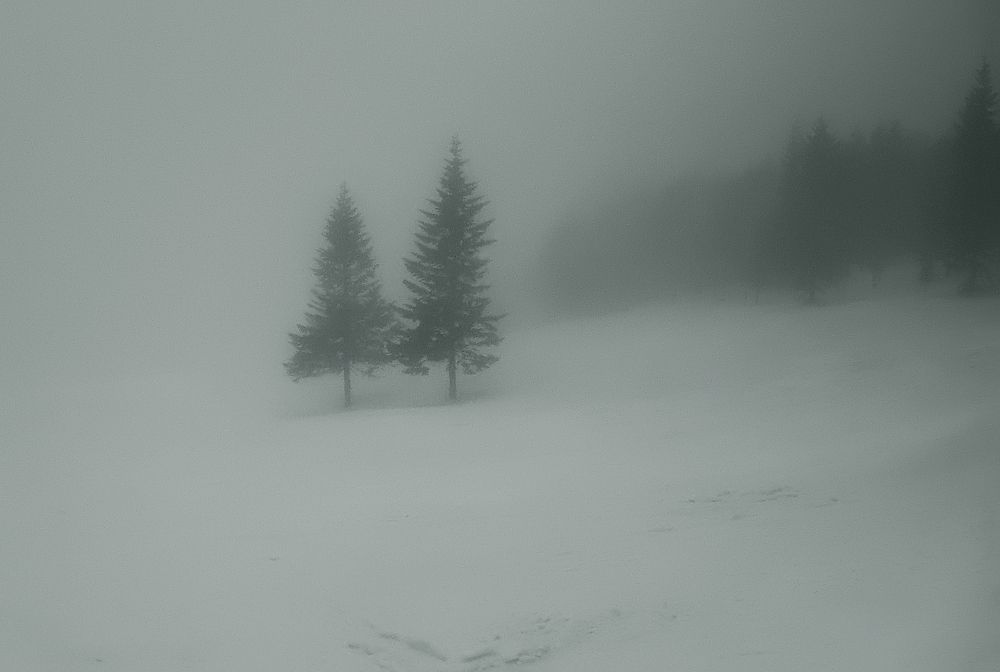 Фотография автора Владислав    ( ЭнВэ ) Нефёдов