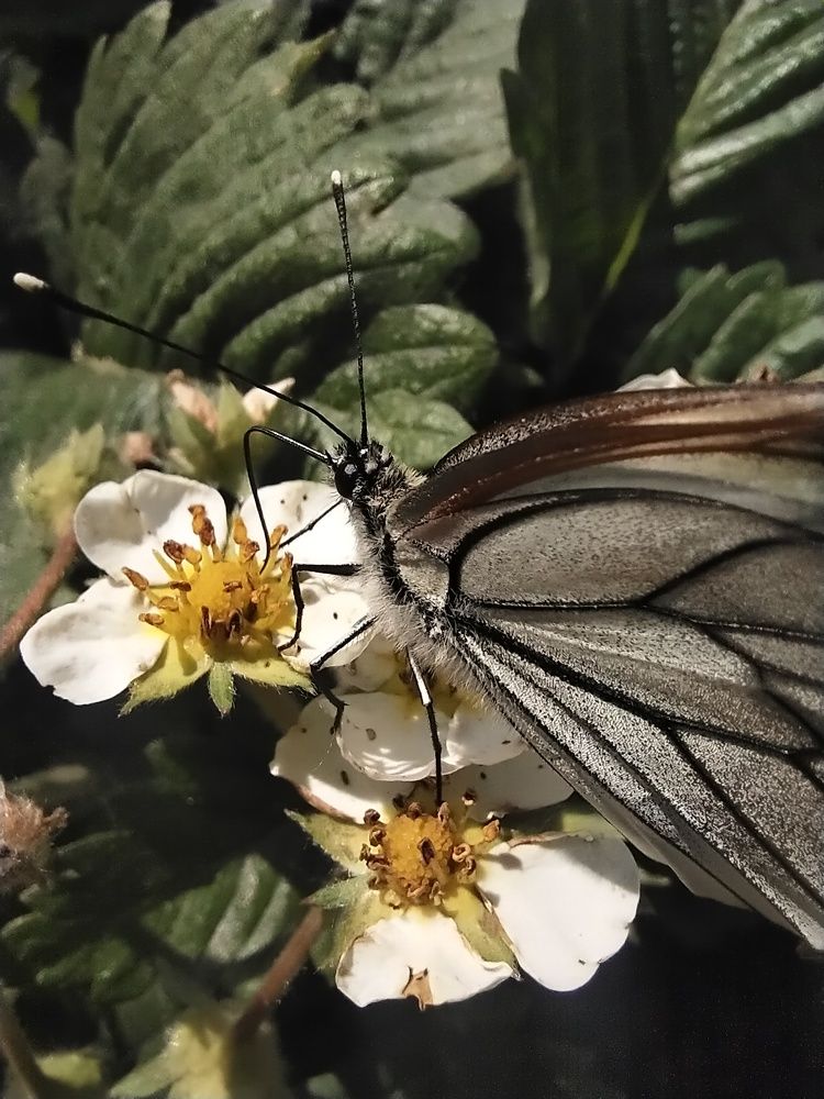 Photograph by Александра Лукашевич