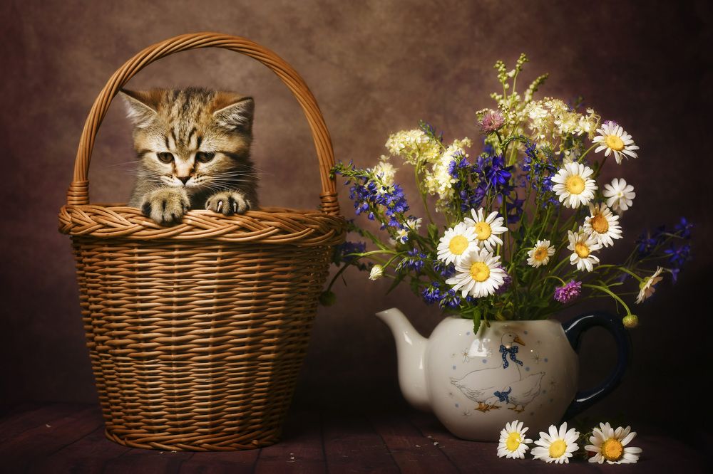 Photograph by Ирина Ефимова