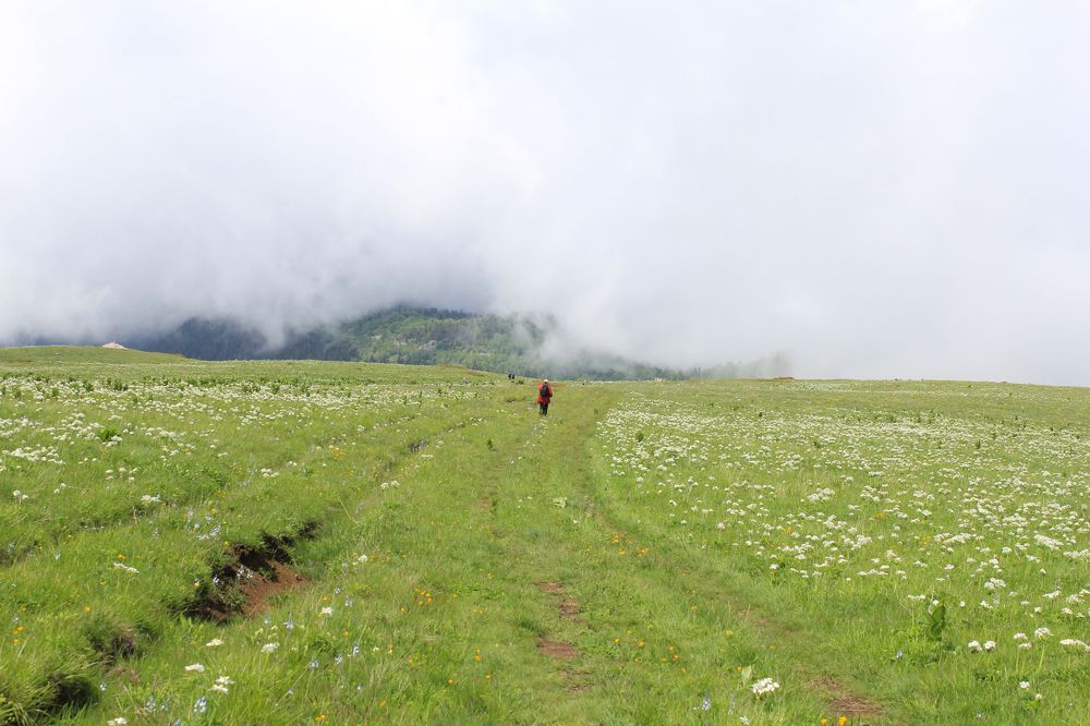 Photograph by Владимир