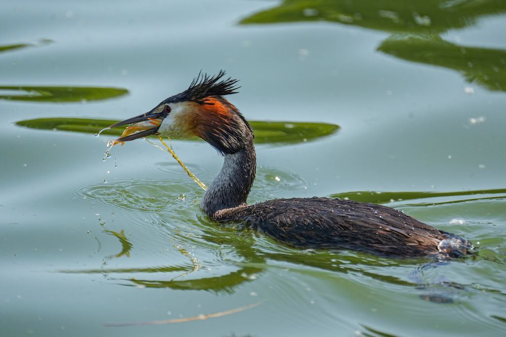 Photograph by Pavel Morozov