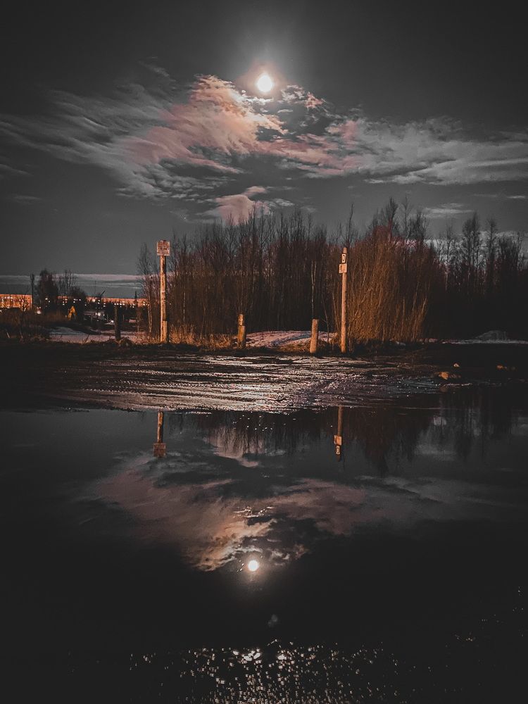 Photograph by Alina Shorina