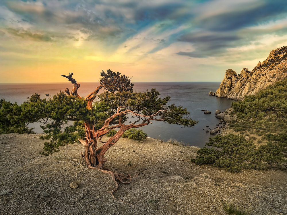 Photograph by Разумов Александр